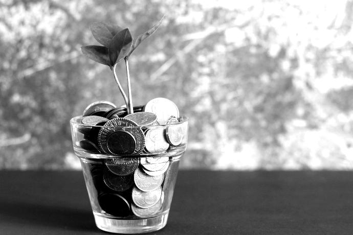 green plant in clear glass vase